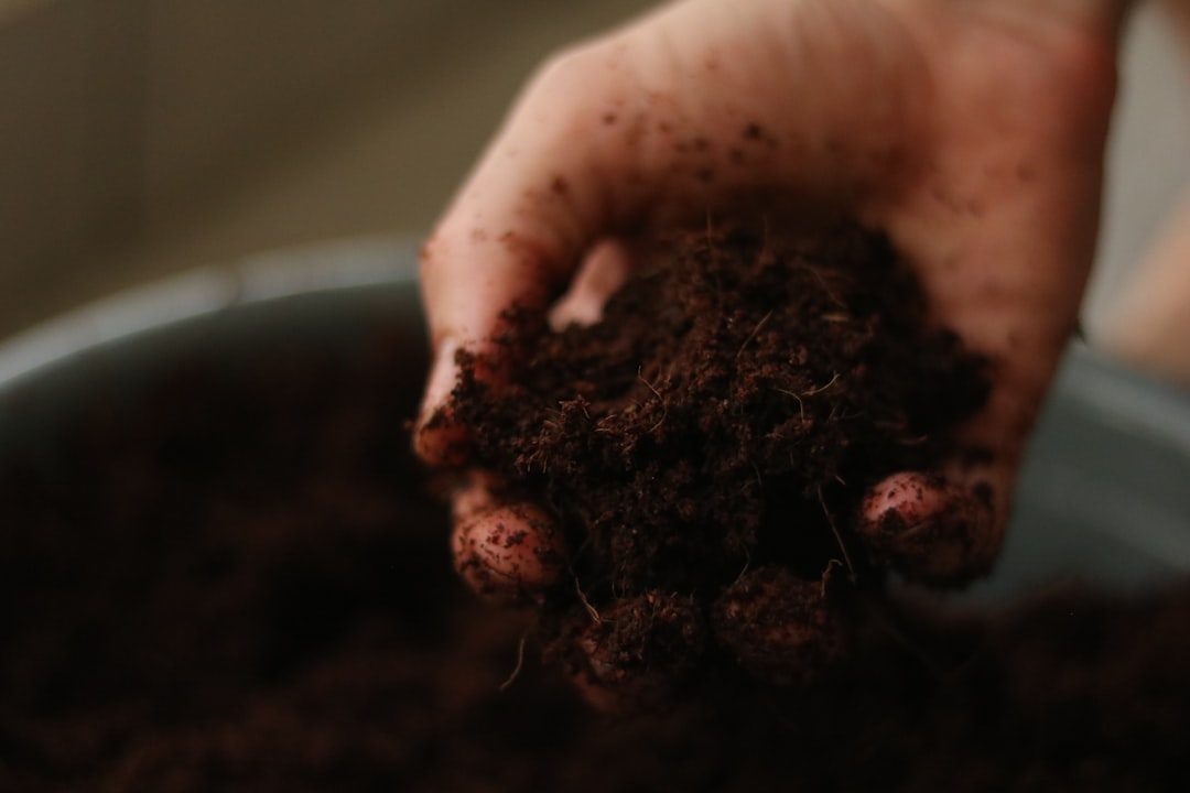 Getting Your Raised Bed Soil Mix Right From the Very Start