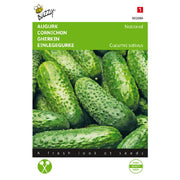 Concombre - National - 2,5g
