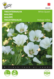 Malope - White Queen - 1.5 g