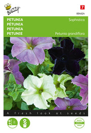 Petunia - Sophistica - 10 Seeds