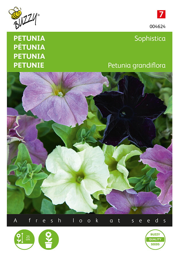 Petunia - Sophistica - 10 Seeds