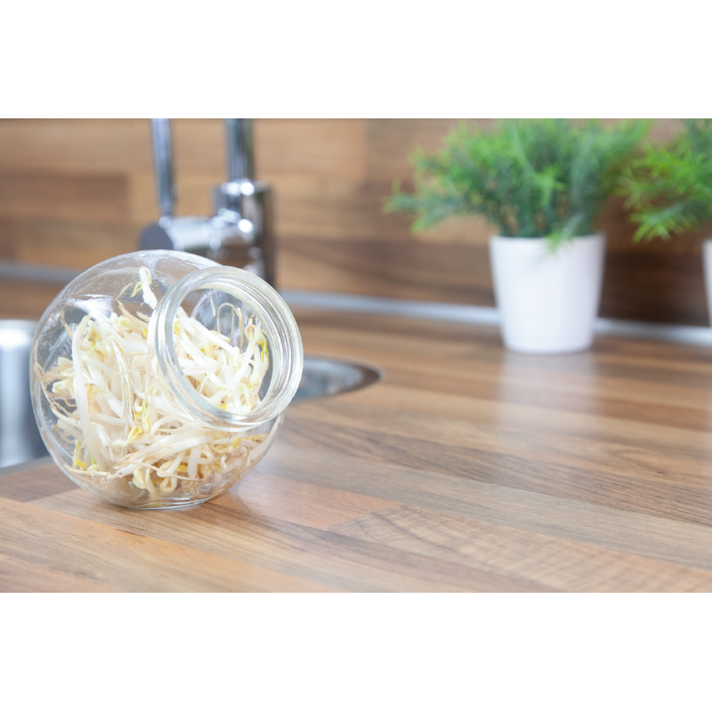 Pot en verre pour germes de cuisine