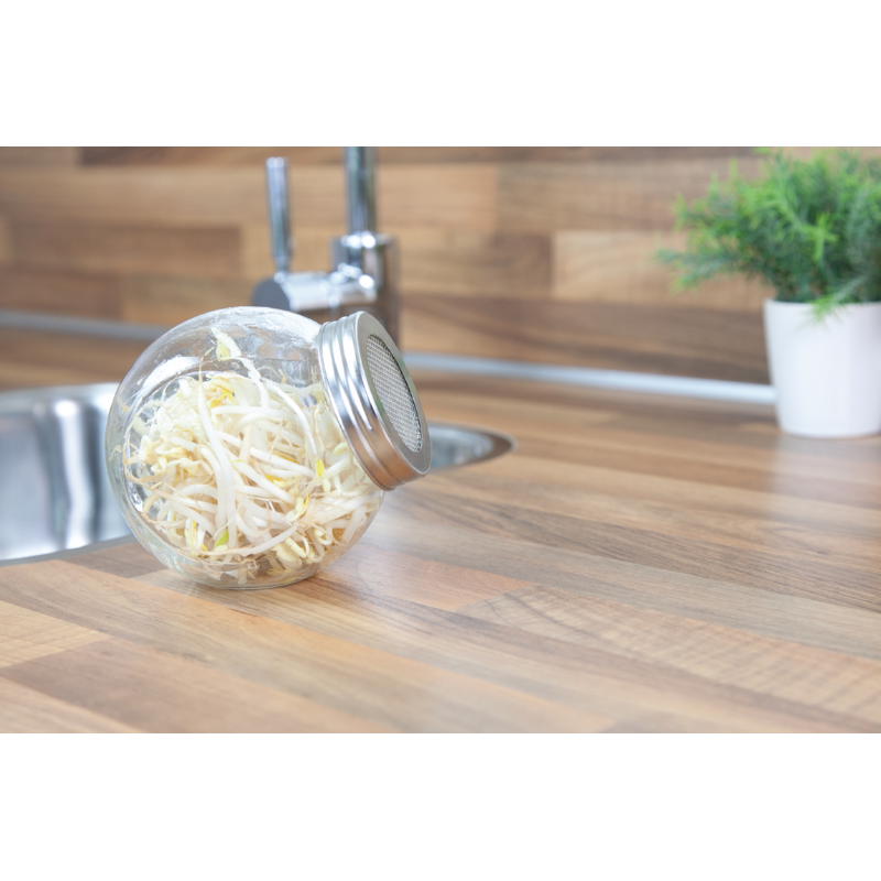 Pot en verre pour germes de cuisine