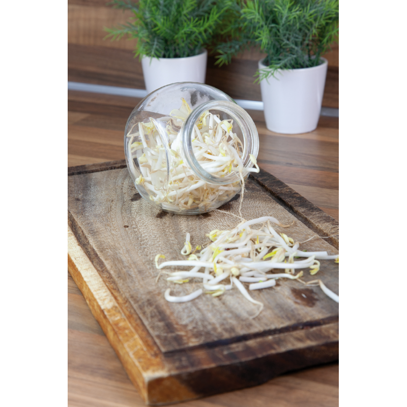 Pot en verre pour germes de cuisine