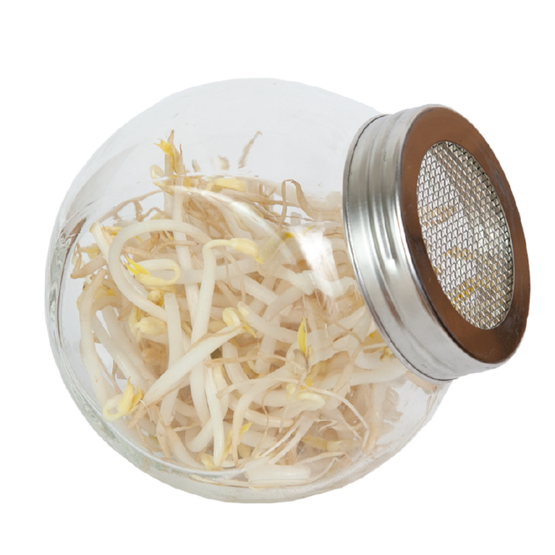Pot en verre pour germes de cuisine