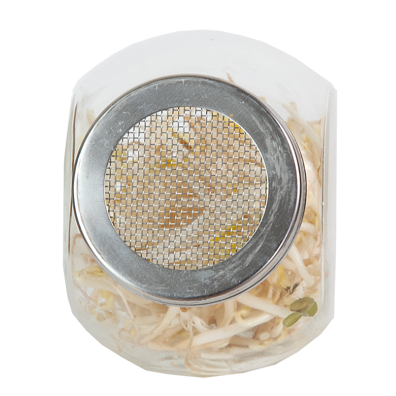 Pot en verre pour germes de cuisine