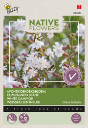 Fleurs indigènes - Silène blanc - 0,1g