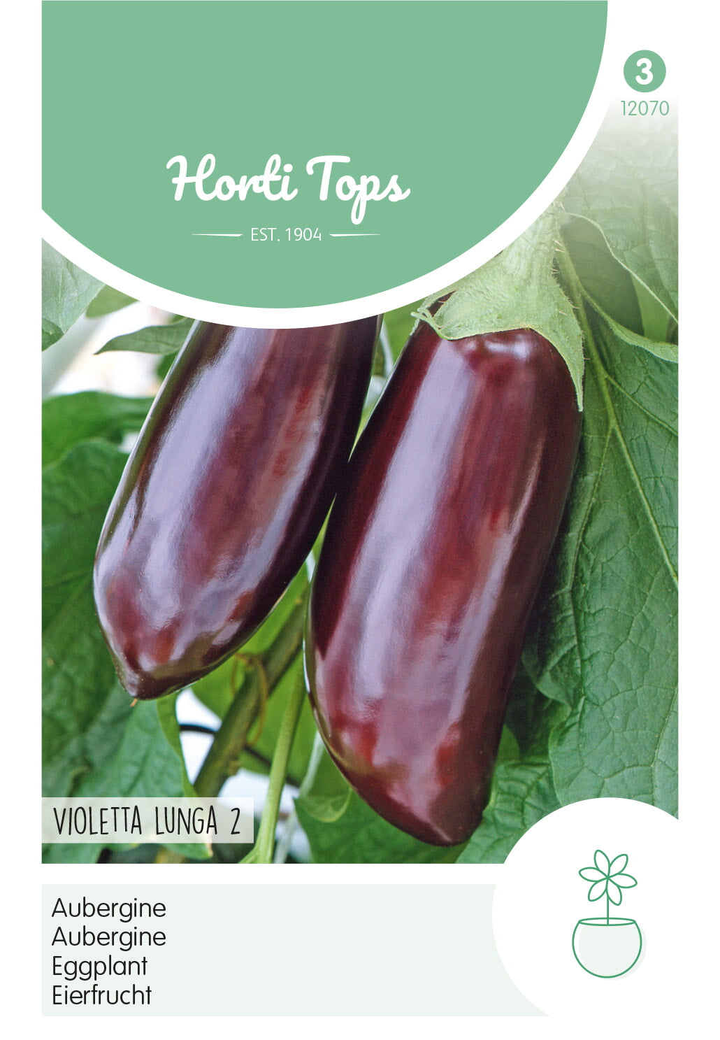 Patlidžan – Violetta Lunga 2 – 2 g