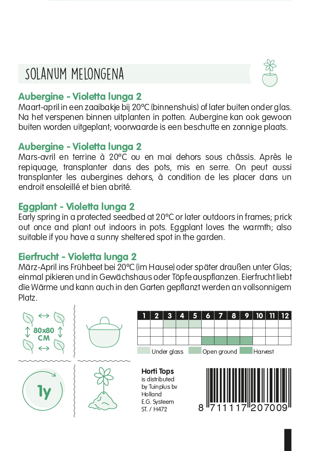 Patlidžan – Violetta Lunga 2 – 2 g
