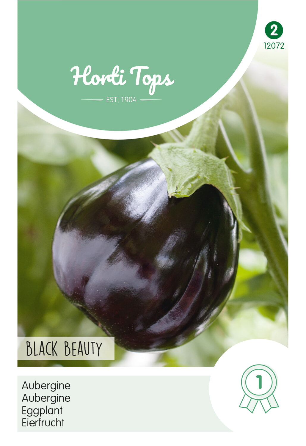 Eggplant - Black Beauty - 1 g
