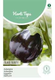 Eggplant - Black Beauty - 1 g