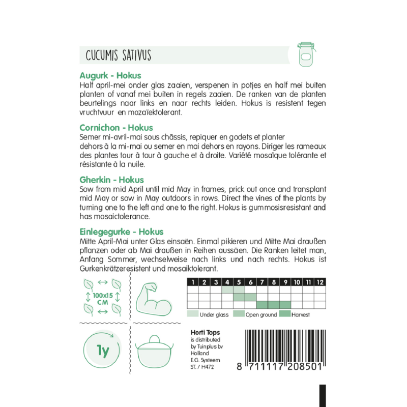 Concombre - Hokus - 2 g