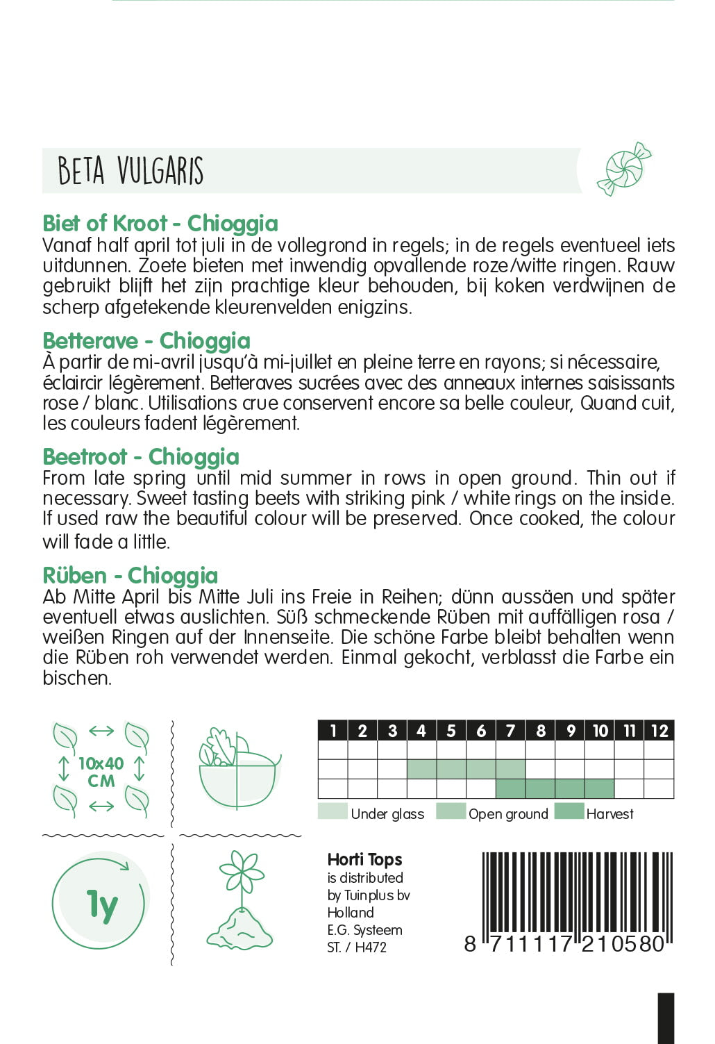 Cikla – Chioggia – 2 g