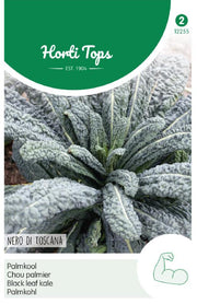Zwartbladige Boerenkool – Nero Di Toscana – 2 g