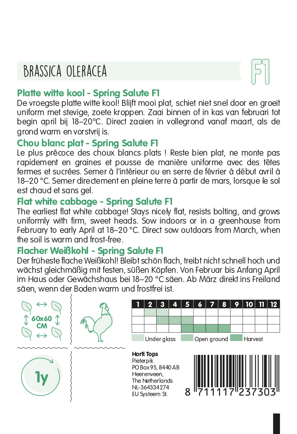 Flat White Cabbage - Spring Salute F1 - 50 Seeds