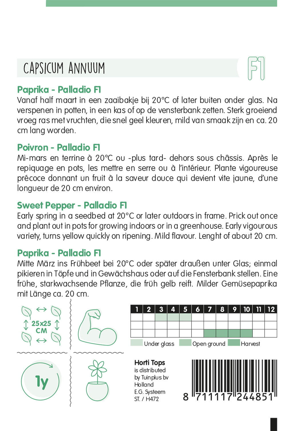 Sweet Pepper - Palladio F1 - 8 Seeds