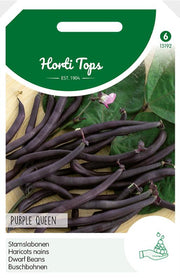 Haricots nains - Reine pourpre - 100 g