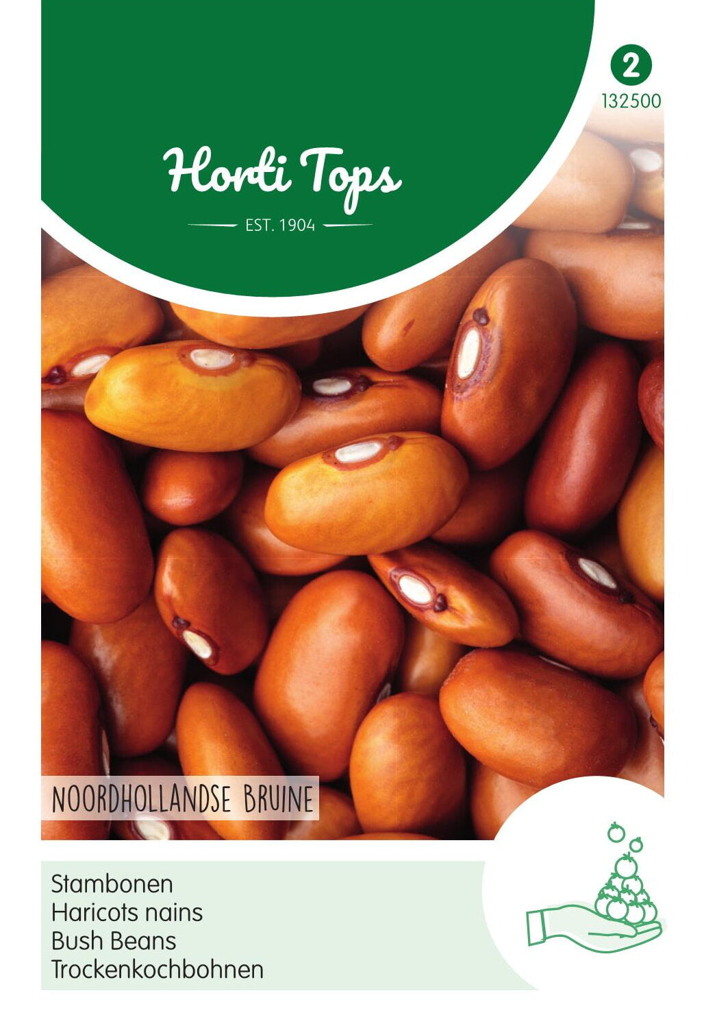 Bush Beans - Noordhollandse Bruine - 100 g