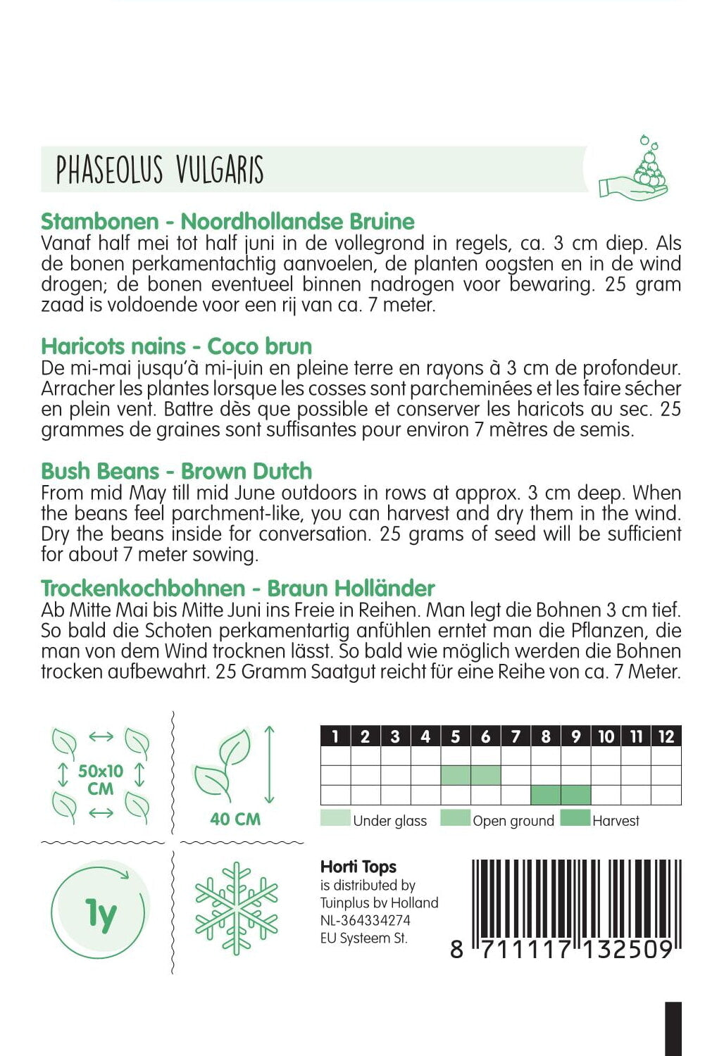 Bush Beans - Noordhollandse Bruine - 100 g