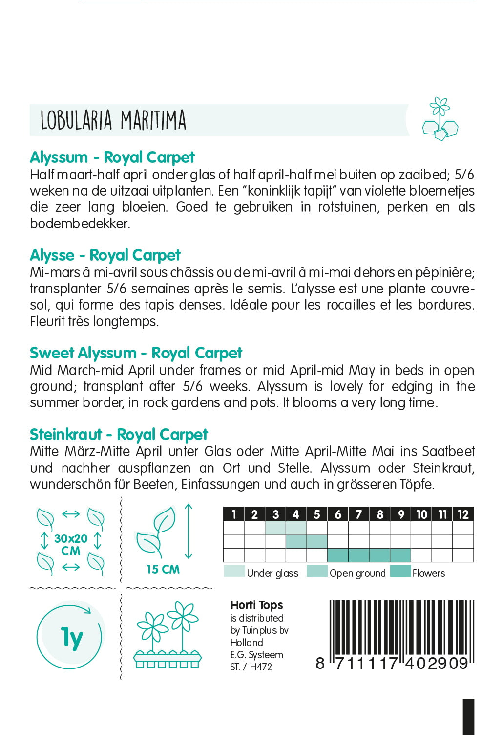 Primorska lobularija – Royal Carpet – 0,5 g