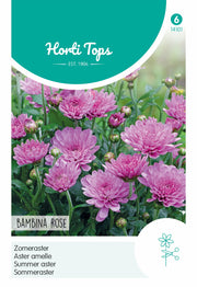 Kínai Őszirózsa - Bambina Rose - 20 Szem