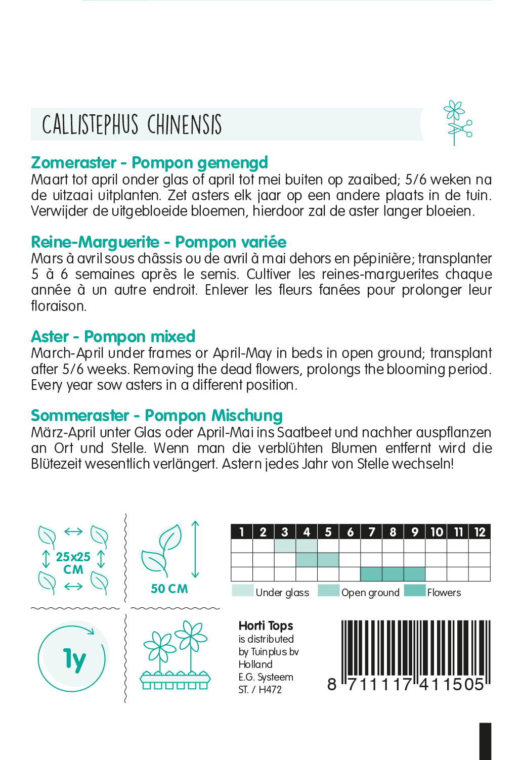 Aster - Pompon - 0,5g