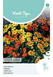 Napfényvirág - Rotgold Hybride - 0,08g