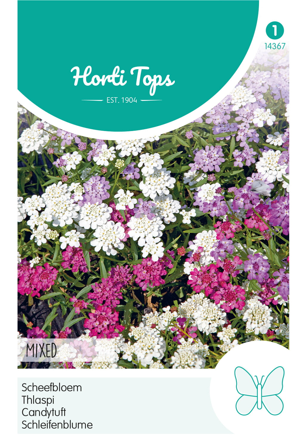 Candytuft - Mixed - 2 g