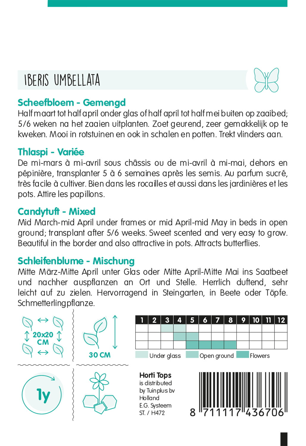 Candytuft - Mixed - 2 g