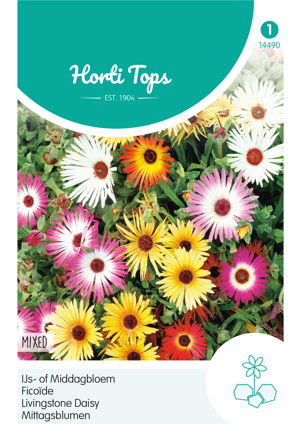 Livingstone Daisy - Mixed - 0,5g