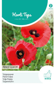 Papaver - Tulp Papaver - 0,5 g
