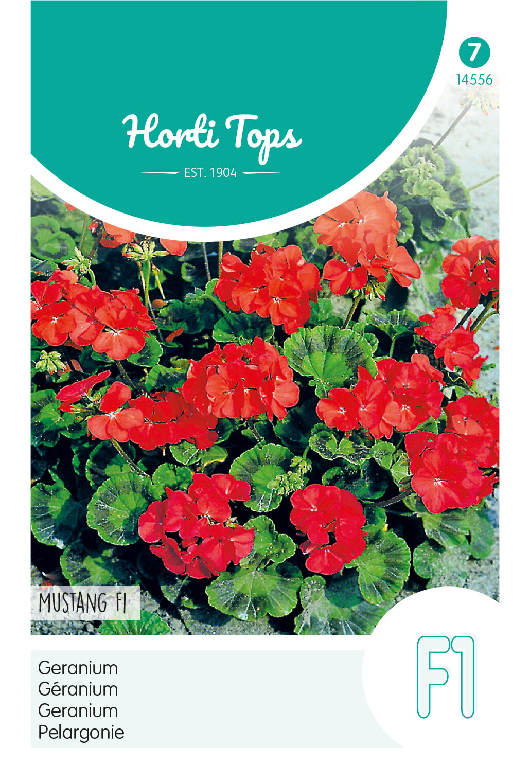 Geranium - Mustang F1 - 10 Seeds