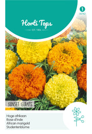 African Marigold - Sunset Giants - 1 g