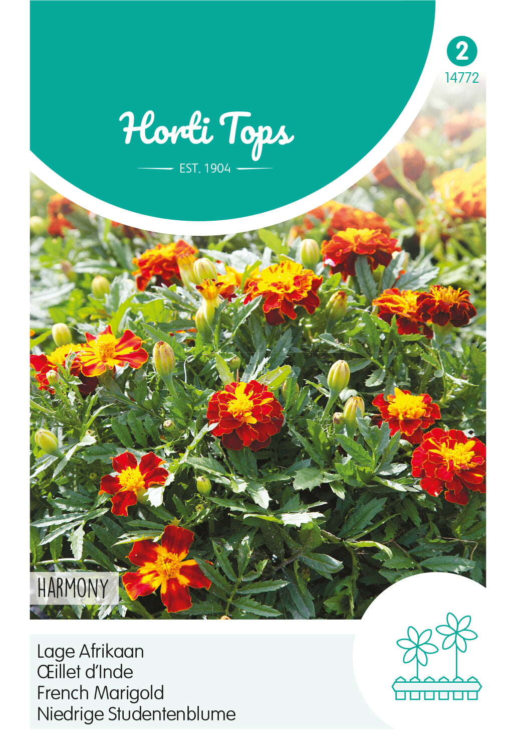 French Marigold - Petite Harmony - 1 g