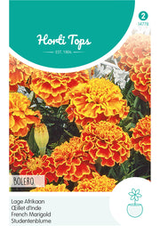 Œillet d’Inde nain – Bolero – 1 g
