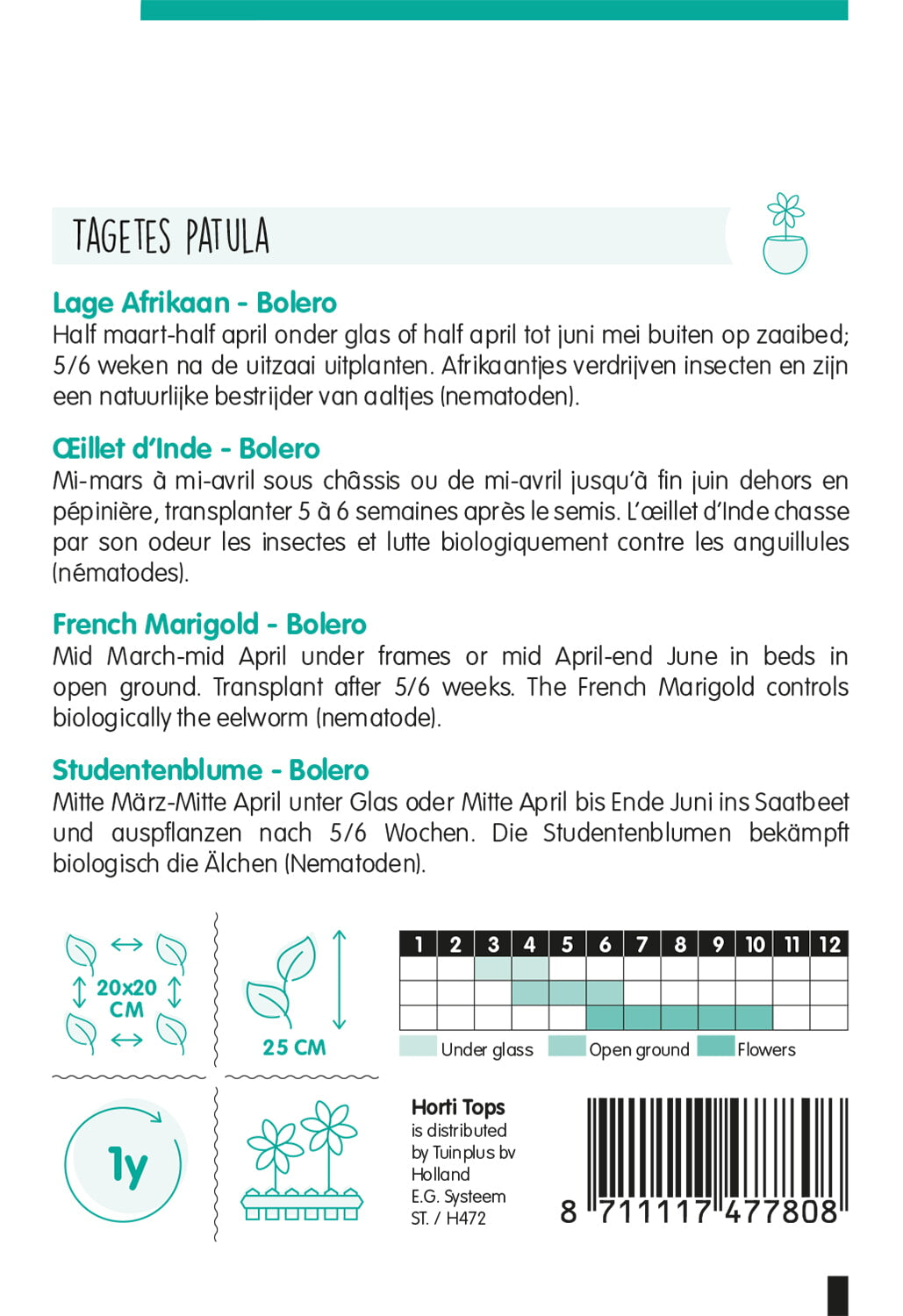 Œillet d’Inde nain – Bolero – 1 g