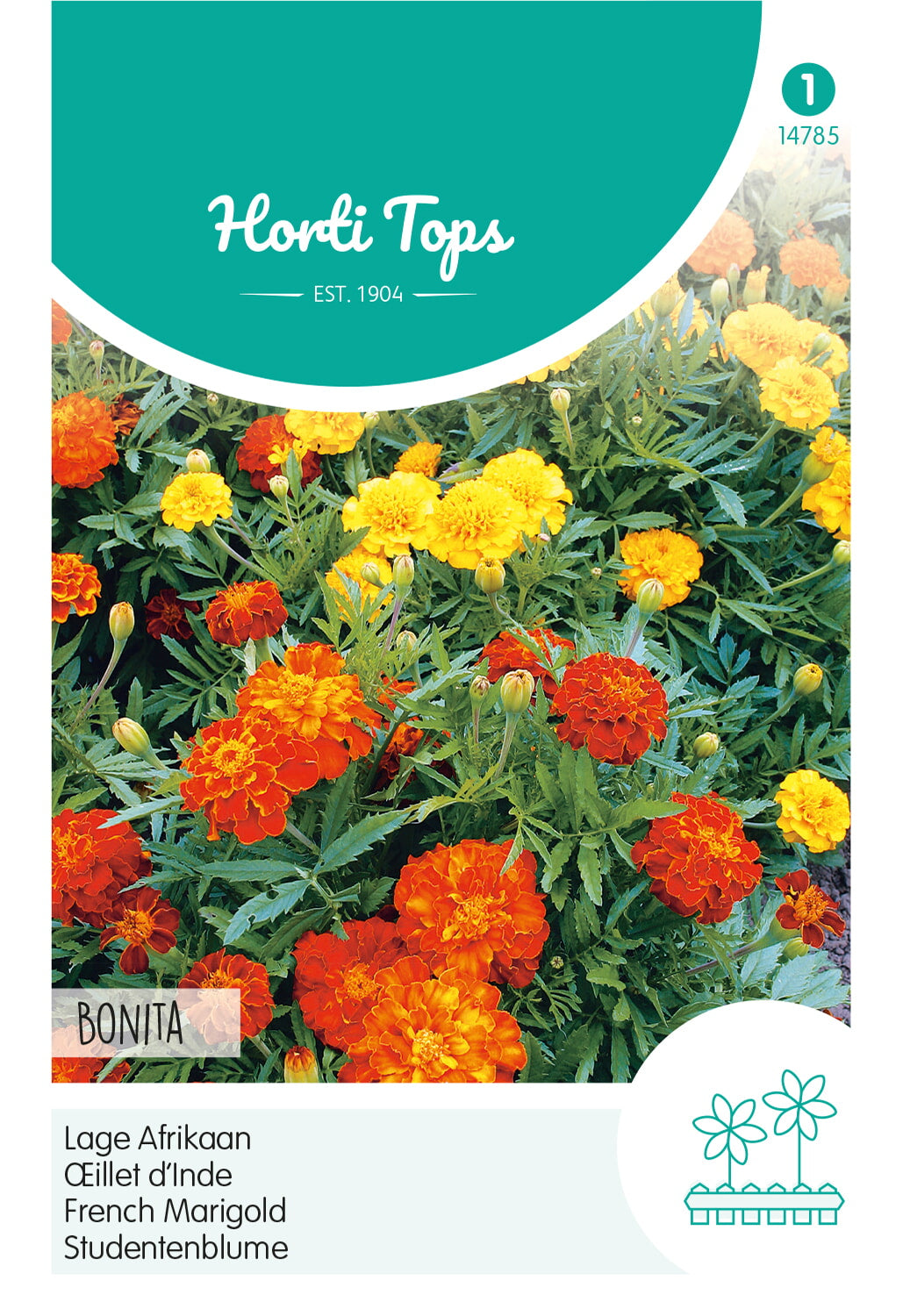French Marigold - Bonita Mix - 1 g