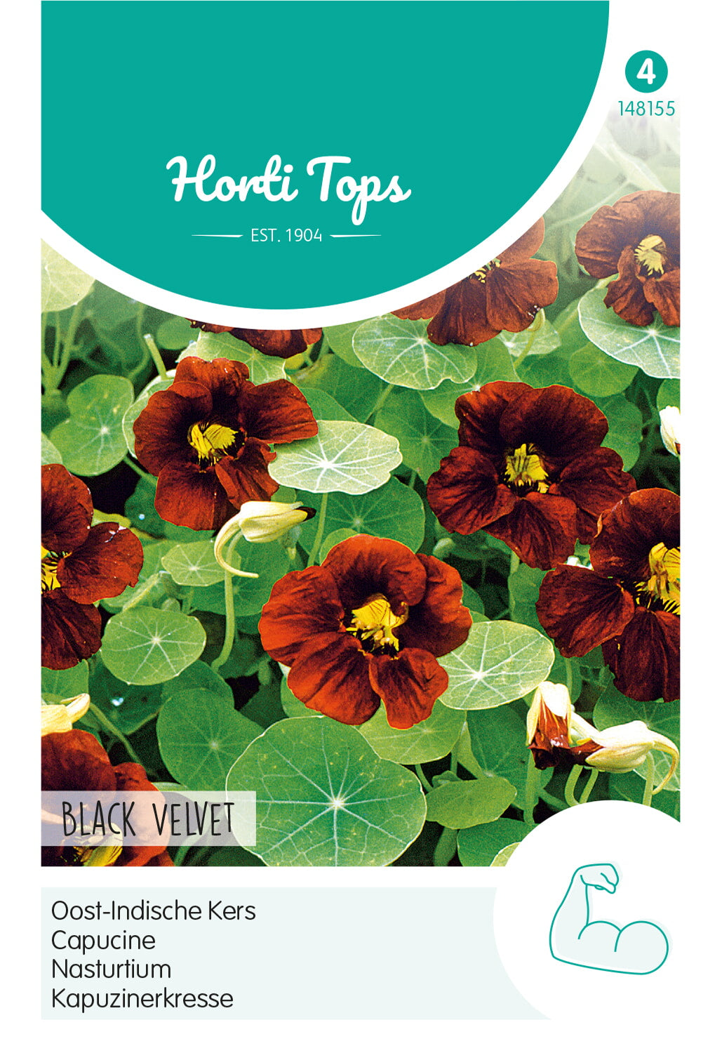 Nasturtium - Black Velvet - 4 g