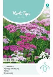 Achillée - Reine Cerise - 0,08g