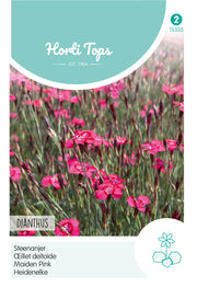 Travnjački karanfil – Dianthus – 0,25 g
