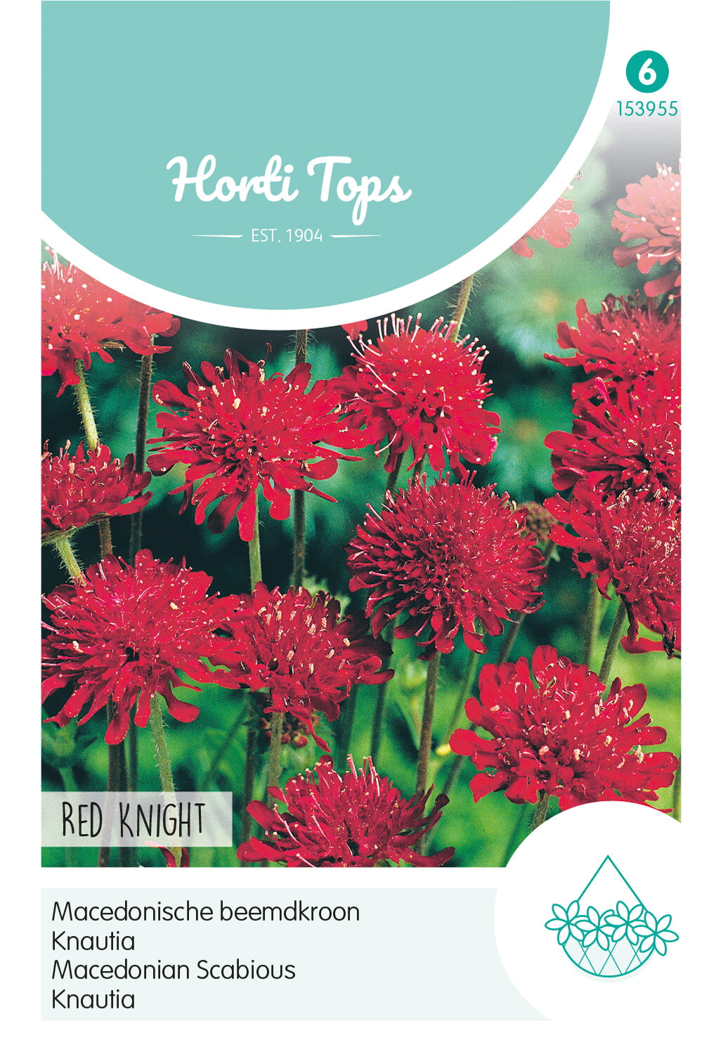 Macedonian Scabious - Red Knight - 0.25 g