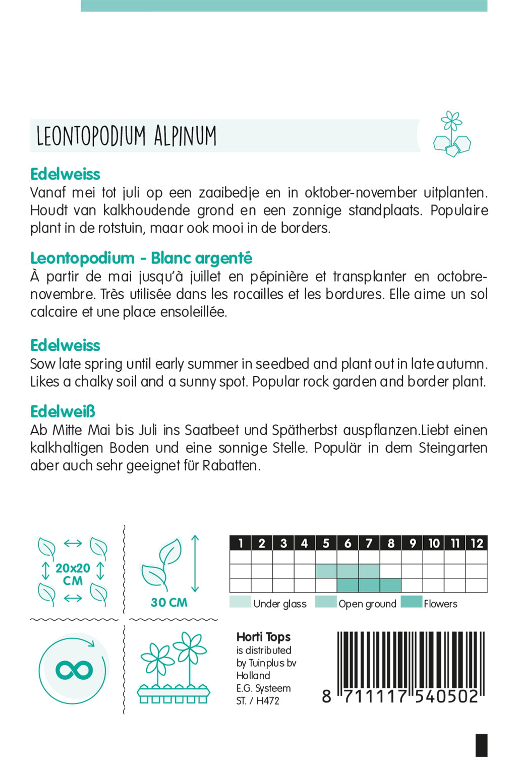 Edelweiss - Leontopodium Alpinum - 0,2g