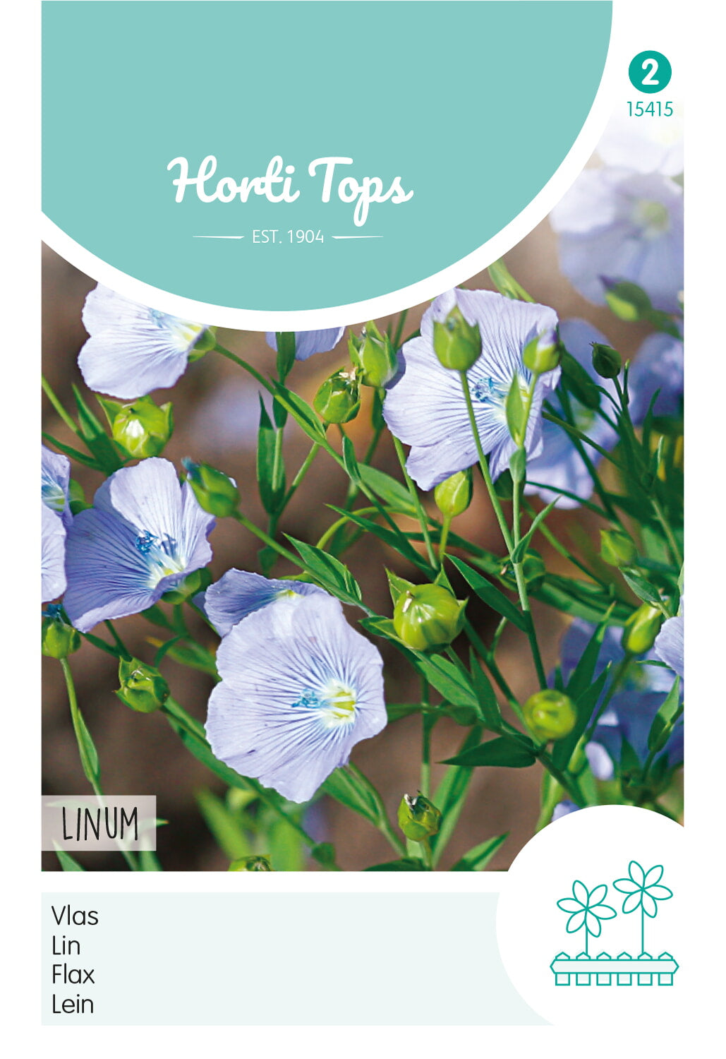 Flax - Blue - Linum - 1 g