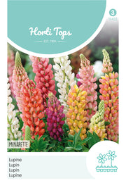 Lupin - Minarette - 1,5g