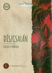 Coleus - Chocolate Covered Cherry - 6 Zaden