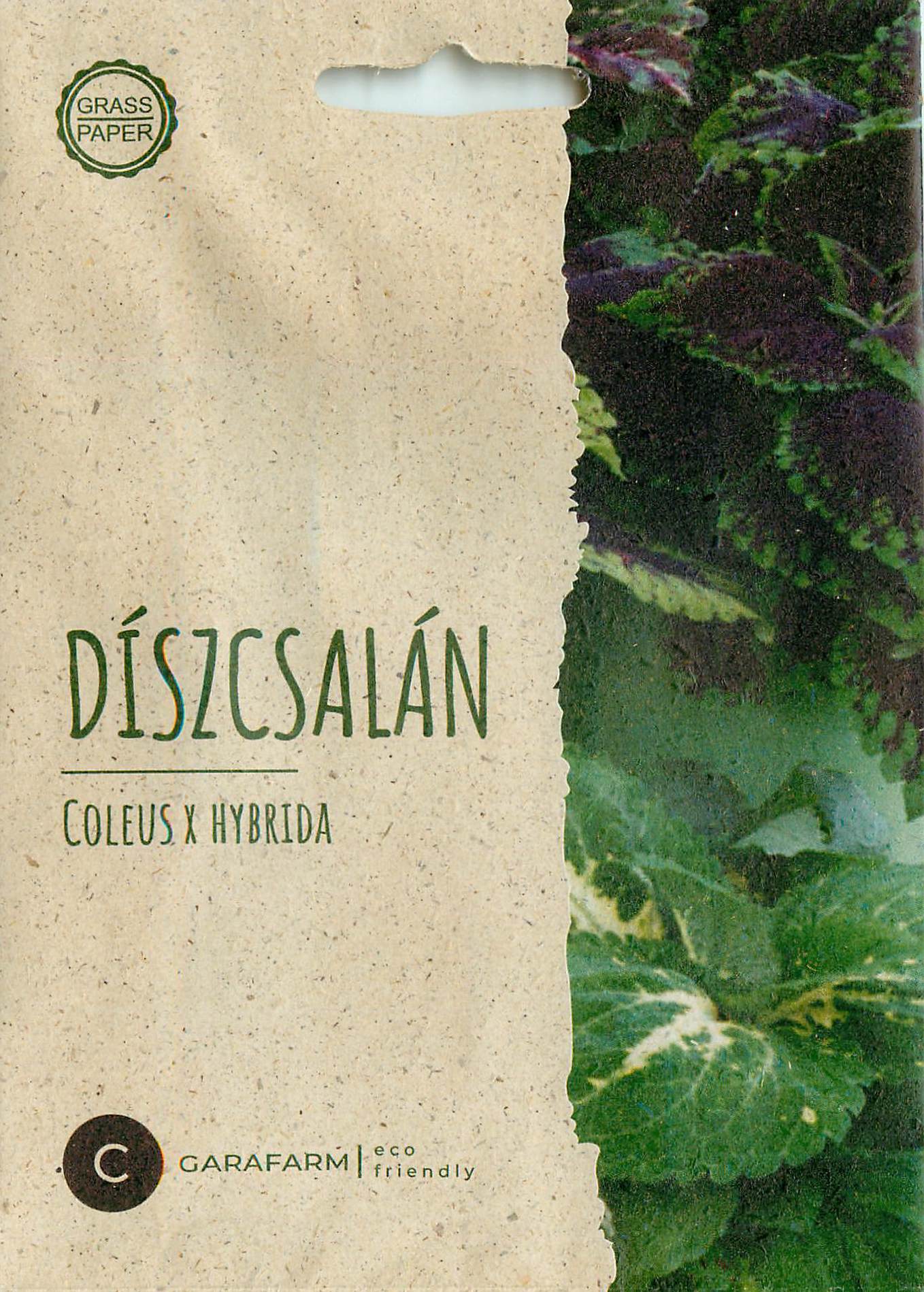 Coleus - Kong Mix - 6 Zaden