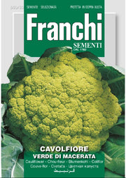 Grüner Blumenkohl – Cavolfiore Verde di Macerata – 3,2 g