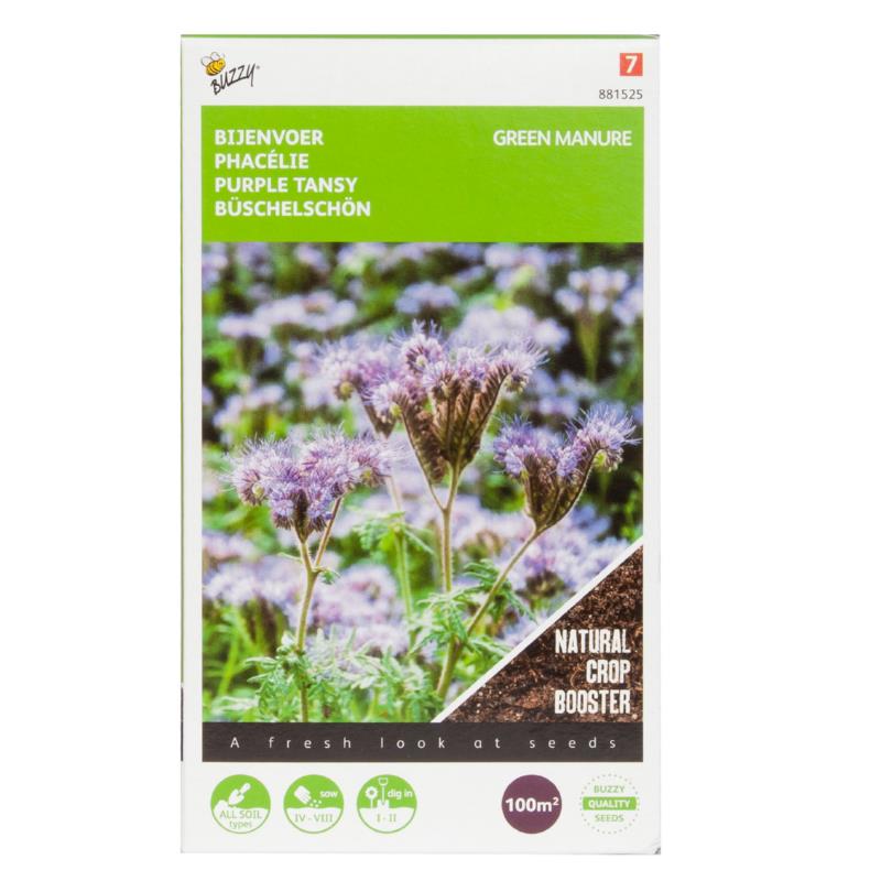 Engrais vert - Tansy violet - 100 g - 100 m2