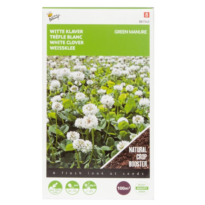 Groenbemesting - Witte Klaver - 100 g - 100 m2