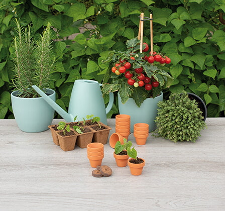 Terracotta Potten - 4/5 cm - 12 stuks